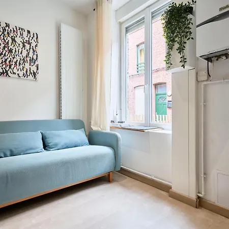 Vieux - Maison Typique Lilloise *