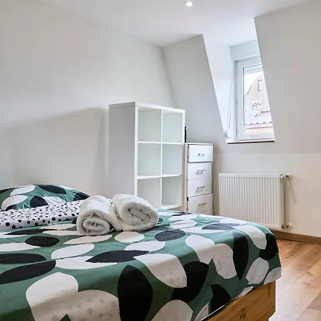 Vieux - Maison Typique Lilloise *