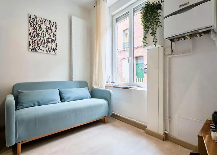 Vieux - Maison Typique Lilloise *