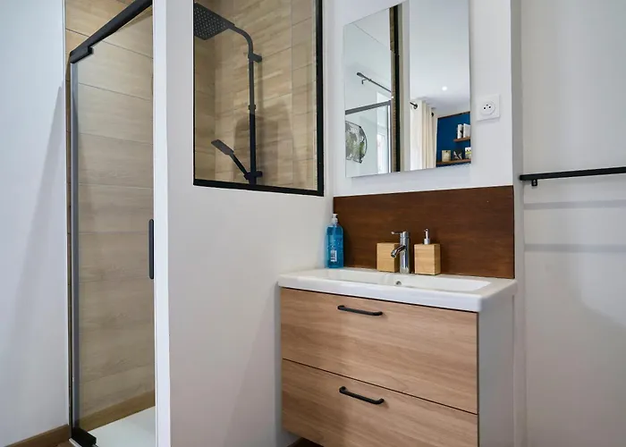 Vieux - Maison Typique Lilloise Apartment *